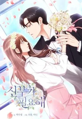 Cover of I Need a Bride