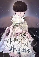 Cover of Like A Wind On A Dry Branch