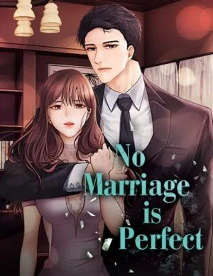 Cover of There Is No Perfect Married Couple