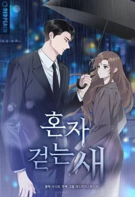 Cover of Solitary Bird