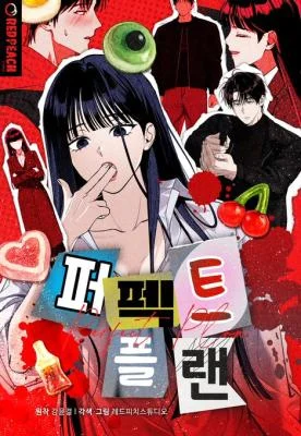 Cover of Perfect Plan