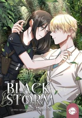 Cover of Black Storm