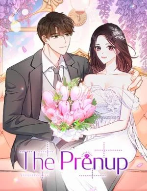 Cover of A Prenuptial Contract