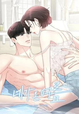 Cover of The Summer When You Came