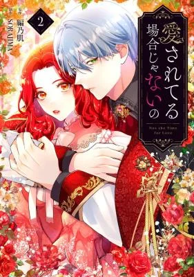 Cover of Not the Time for Love