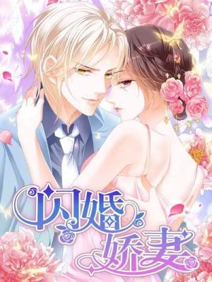 Cover of The Beautiful Wife of the Whirlwind Marriage