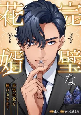 Cover of The Perfect Groom: Will You Offer Him True Love?