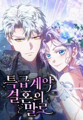Cover of In the Name of Special Contract Marriage