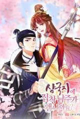 Cover of What’s With the Three Kingdoms-Obsessed Male Lead?