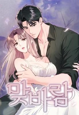 Cover of Matched Affair