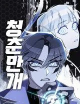 Cover of Youth Blossoms
