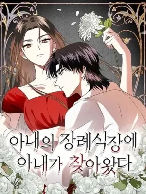 Cover of My Wife Appeared at My Wife’s Funeral