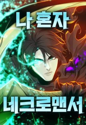 Cover of The Lone Necromancer