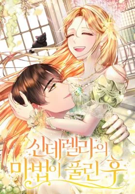 Cover of When Cinderella’s Magic Fades Away