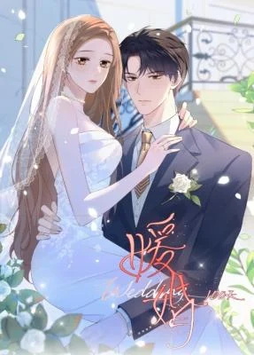 Cover of 100-Day Warm Marriage