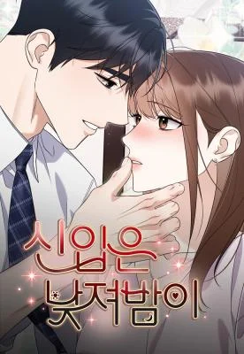 Cover of Newcomers Turn Low at Night