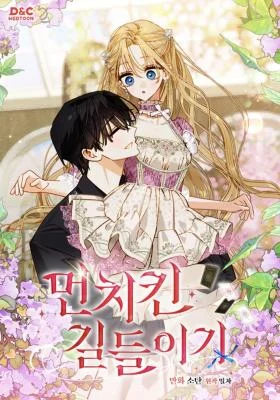 Cover of Taming a Munchkin