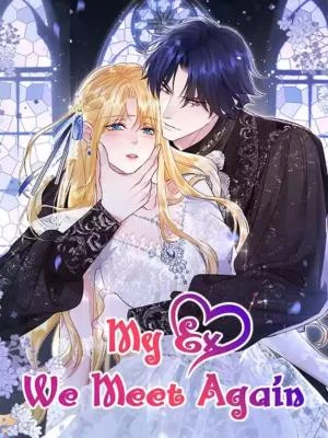 Cover of My Ex, We Meet Again