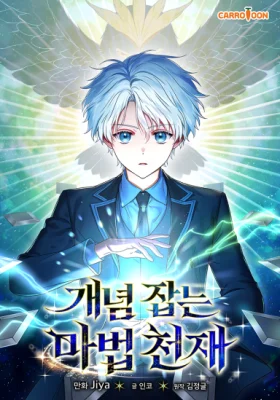 Cover of Concept Grasping Magic Genius