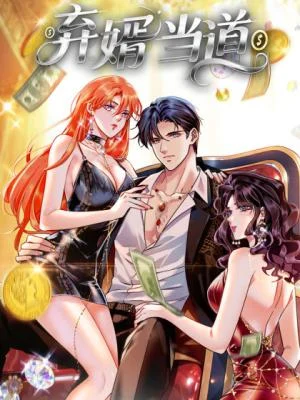 Cover of The Discarded Son-in-Law’s Rise