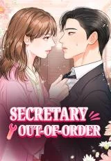 Cover of The Persimmon Secretary