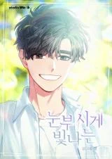 Cover of Dazzlingly Bright