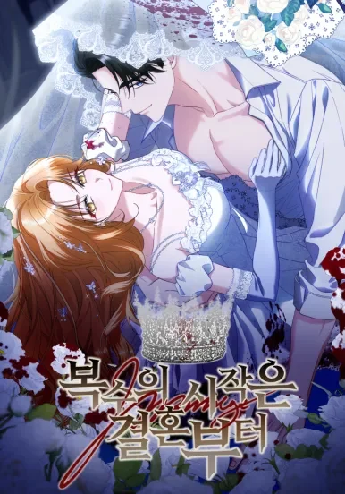 Cover of Vengeance Begins with Marriage