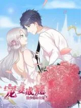 Cover of Pampered Mr. Lu’s Wife And Fateful Meeting