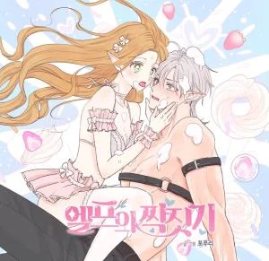 Cover of The Mating of Elves