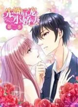 Cover of Vengeful Girl With Her Ceo